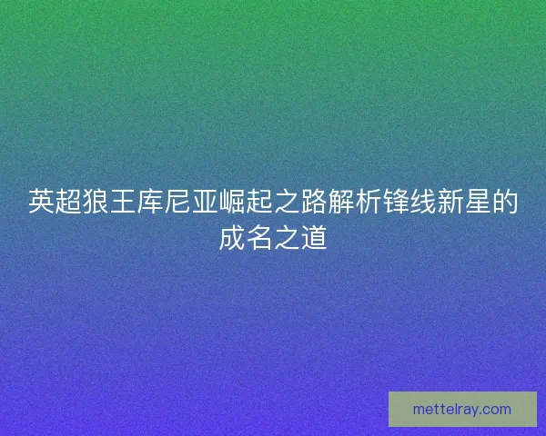 英超狼王库尼亚崛起之路解析锋线新星的成名之道