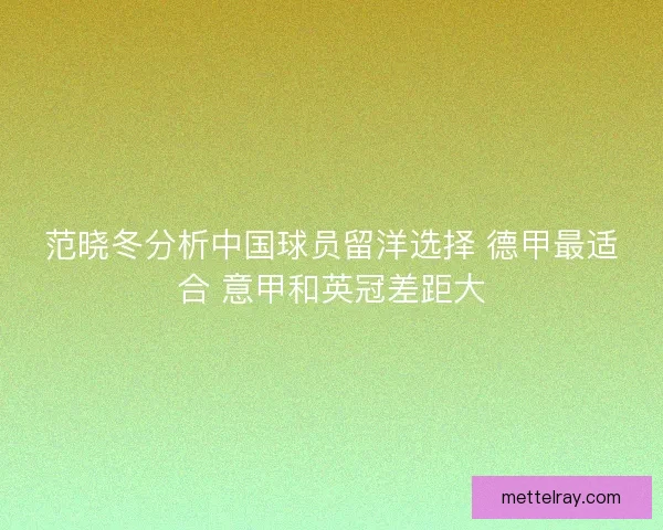 范晓冬分析中国球员留洋选择 德甲最适合 意甲和英冠差距大